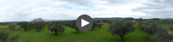 petrochori-video-play.jpg